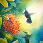 Antillean Crested Hummingbirds & Ixora, Acrylic on paper, 16x12"