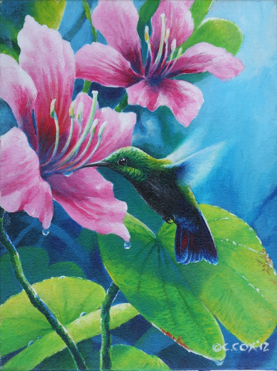 Antillean Mango & orchid tree, Acrylic on canvas, 12x9"