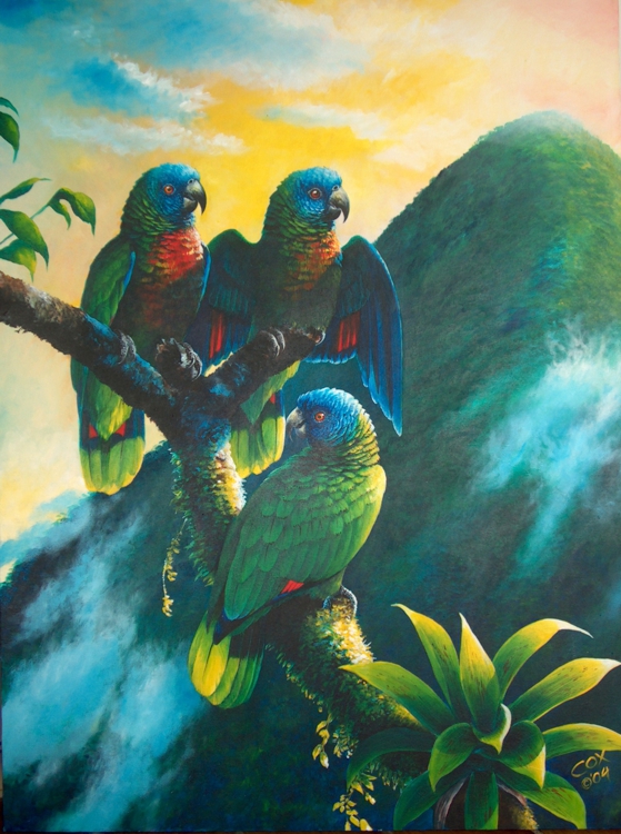'Gimie Dawn 1' St. Lucia Parrots, Acrylic on canvas, 40x32"