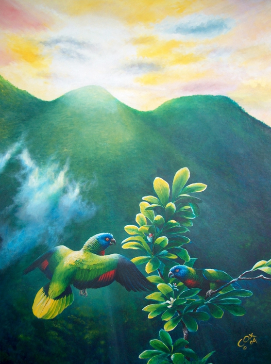 'Gimie Dawn 2' St. Lucia Parrots, Acrylic on canvas, 40x32"
