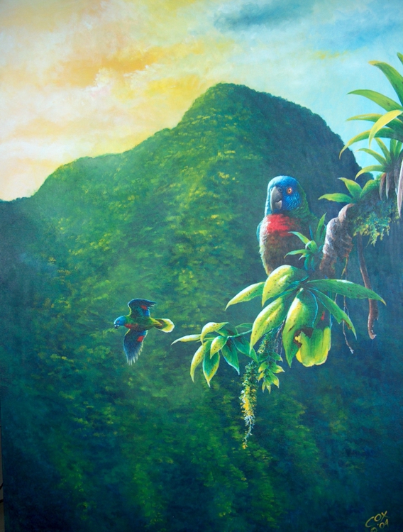 'Gimie Dawn 3' St. Lucia Parrots, Acrylic on canvas, 40x32"