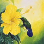 Green-throated Carib & hibiscus, Acrylic on paper, 16x11"