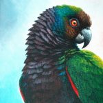 Imperial Parrot, Acrylic on canvas, 10x8"