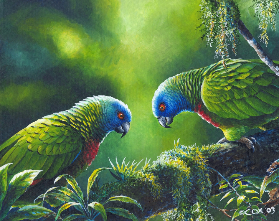 Out on a Limb - St. Lucia Parrots, Acrylic on canvas, 14x18"