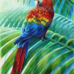 Scarlet Macaw, Acrylic on paper, 22x16"