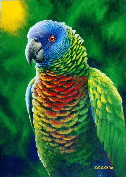 'Fine colours' St. Lucia Parrot, Acrylic on canvas, 