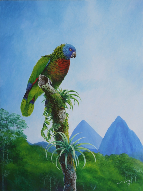 St. Lucia Parrot & les Pitons, Acrylic on canvas, 
