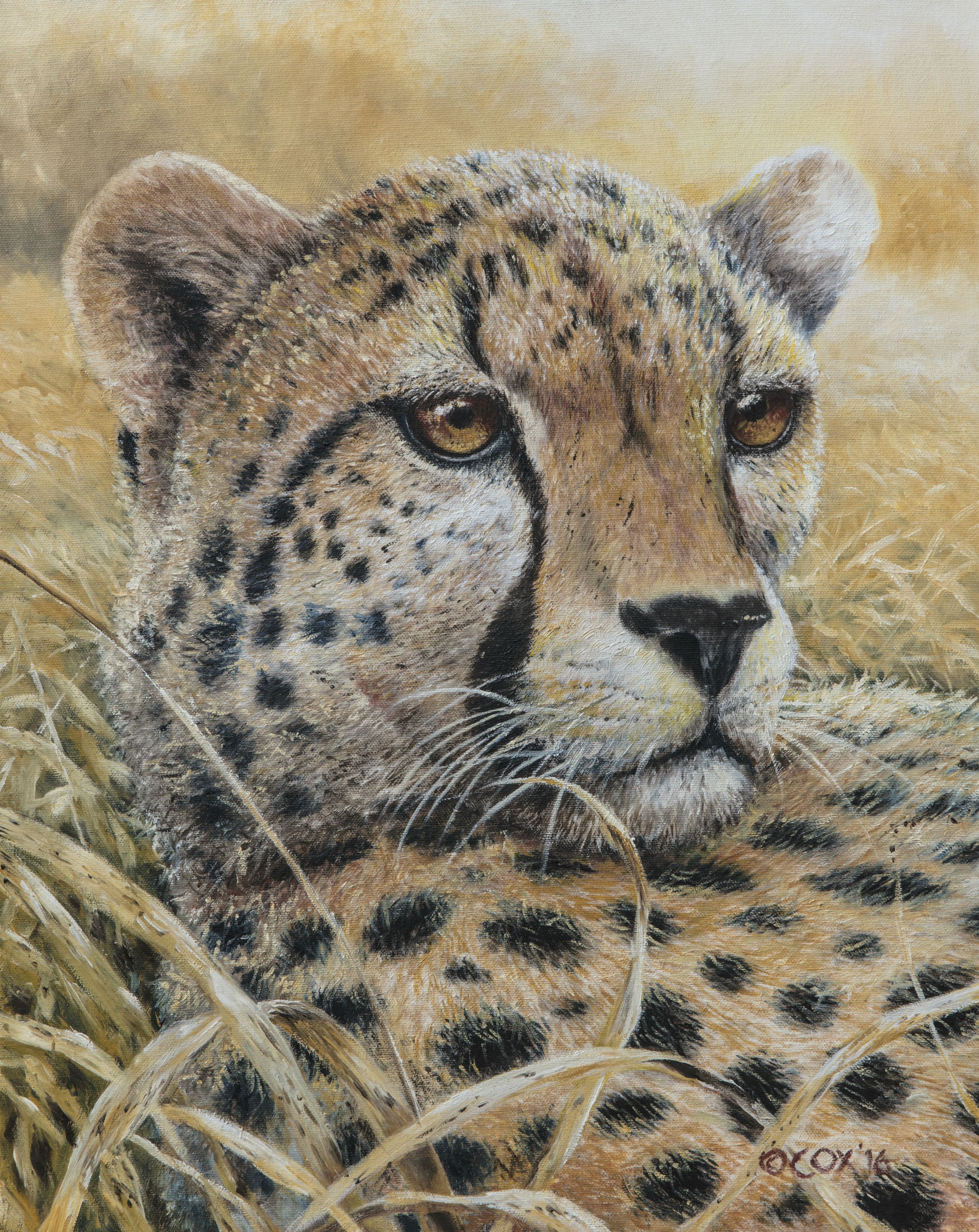 Cheetah, Oil on canvas, 20x16"