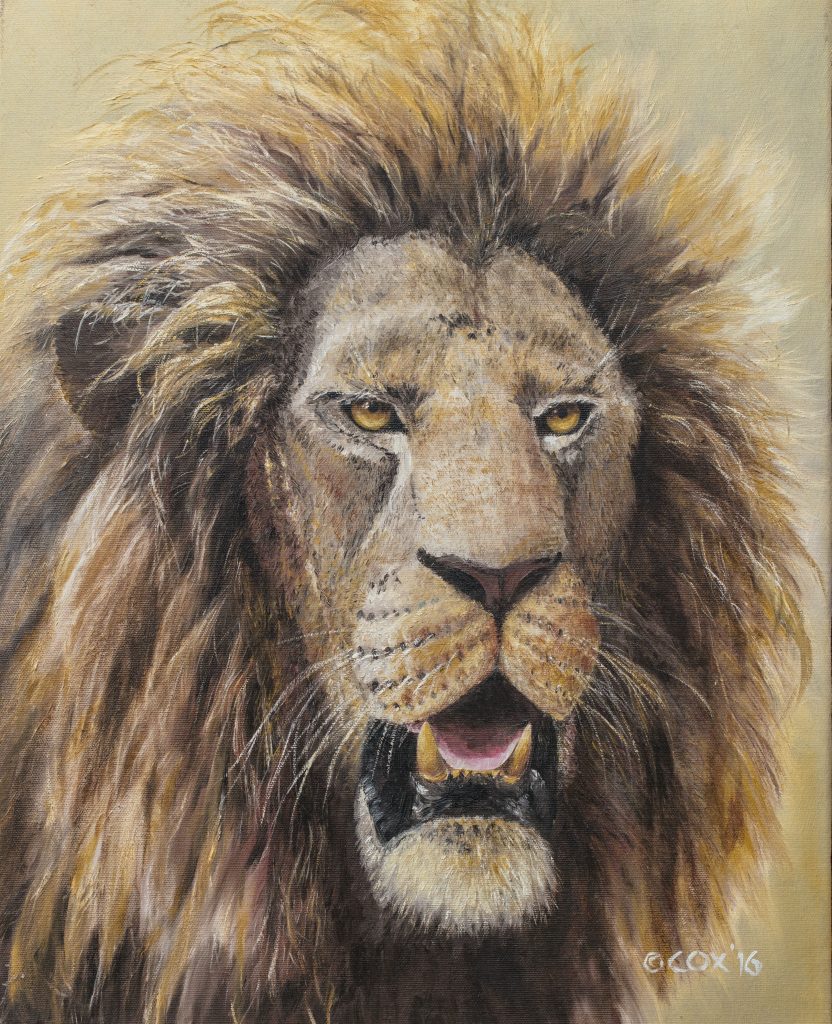 'Veteran' Lion, Oil on canvas, 20x16"