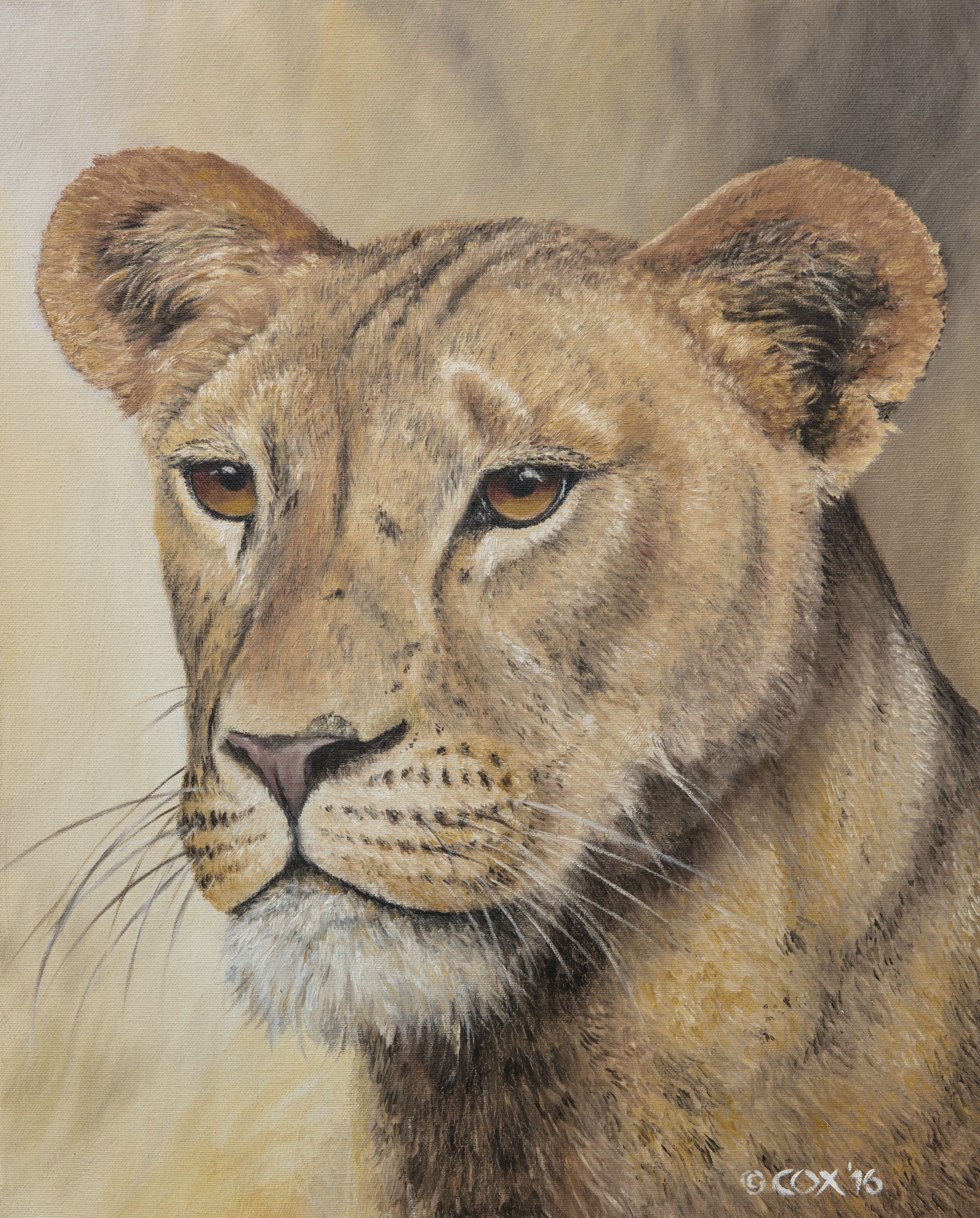'On guard' Lioness, Oil on canvas, 20x16"