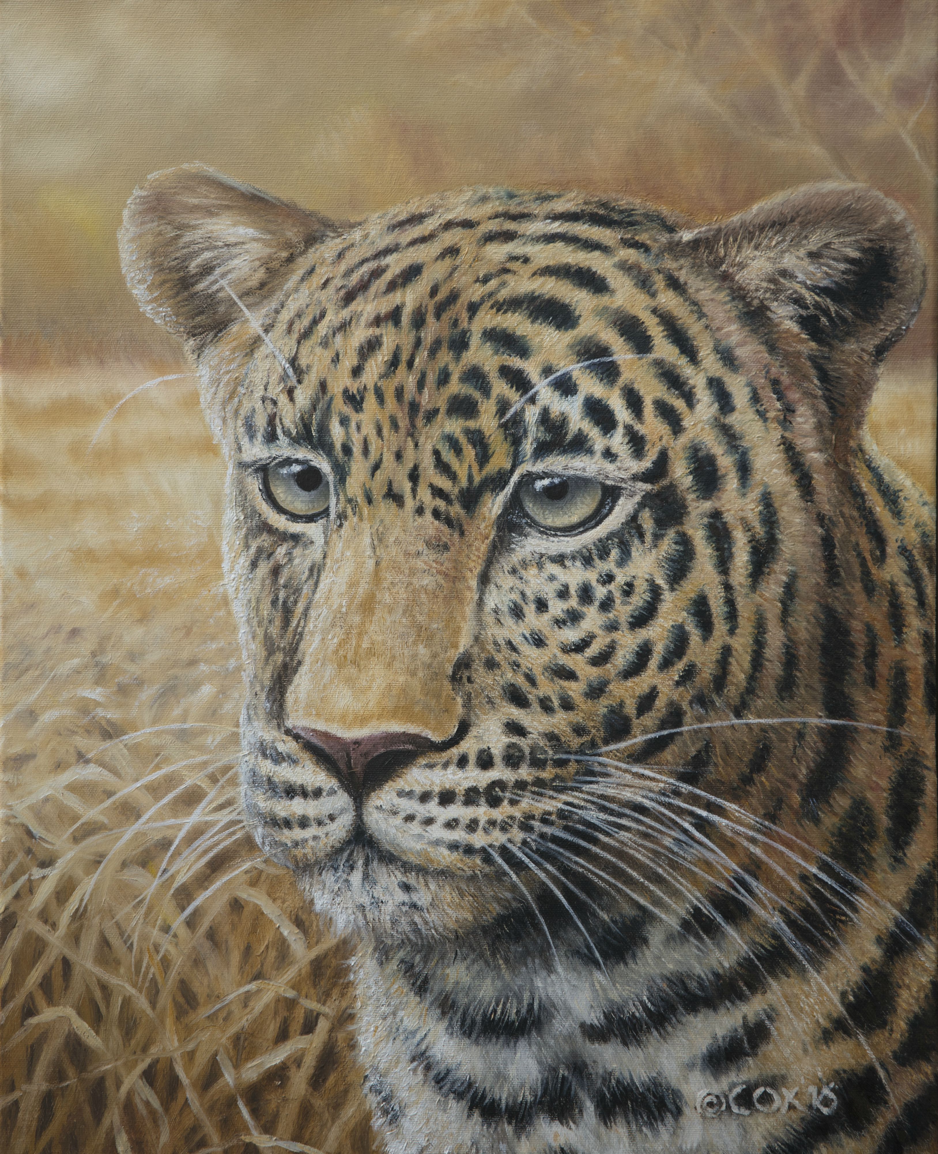 'Intentions' Leopard, Oil on canvas, 20x16"