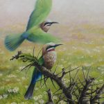 White-fronted Bee-eaters   Oil on panelboard   20x16"