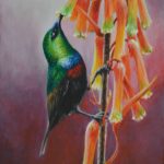 Marico Sunbird,  Acrylic on canvas 9x12" 
