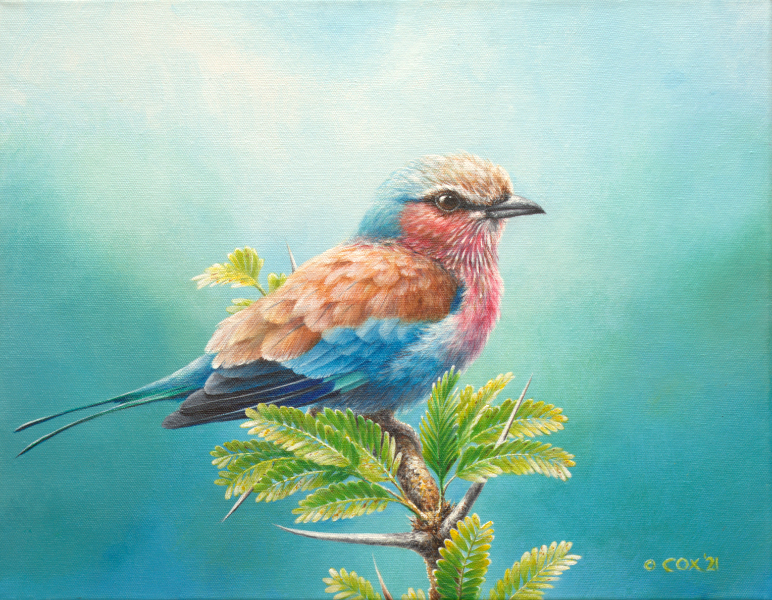 Lilac-breasted Roller, Acrylic on canvas, 