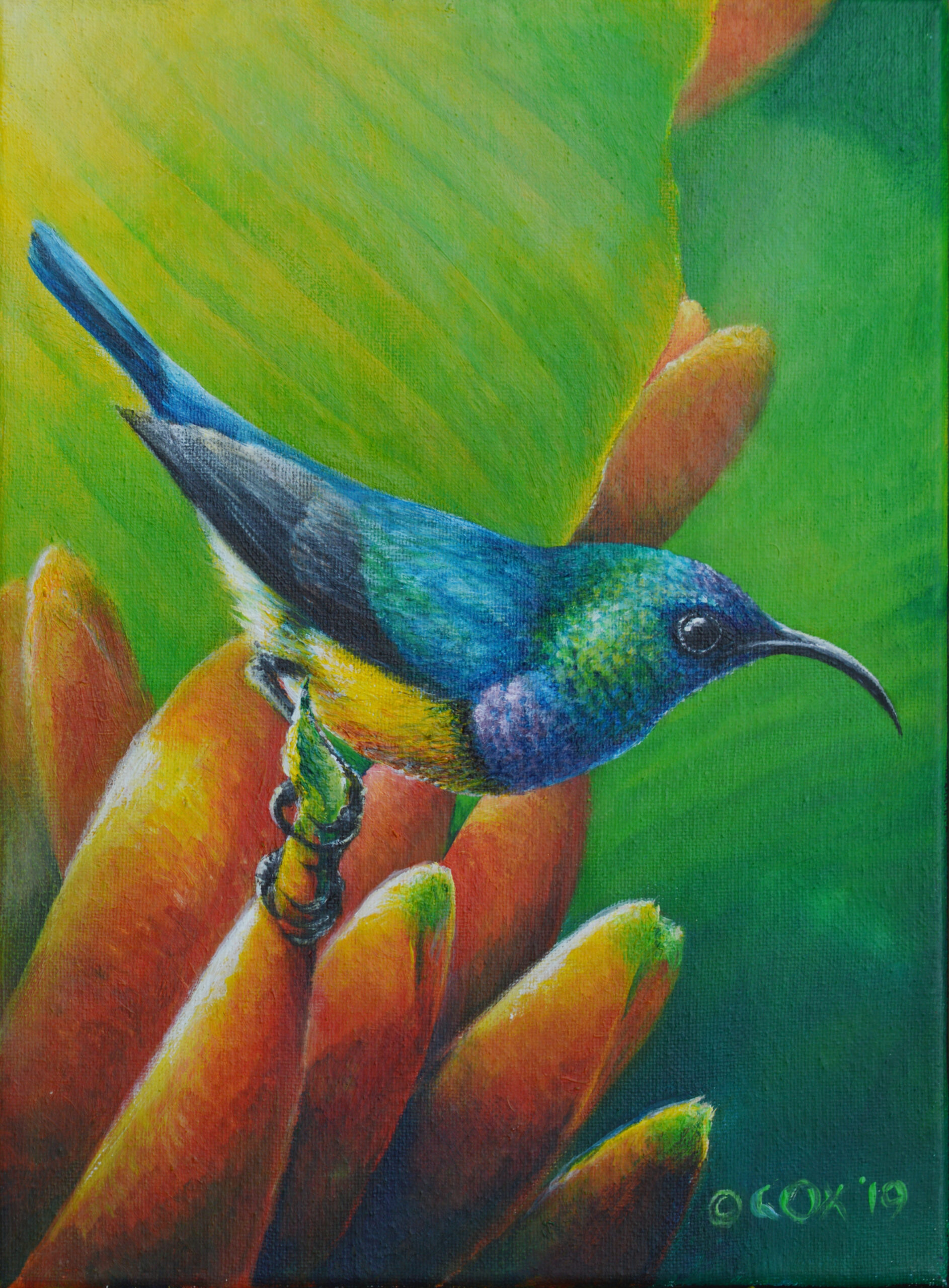 Variable Sunbird, Acrylic on canvas 9x12"